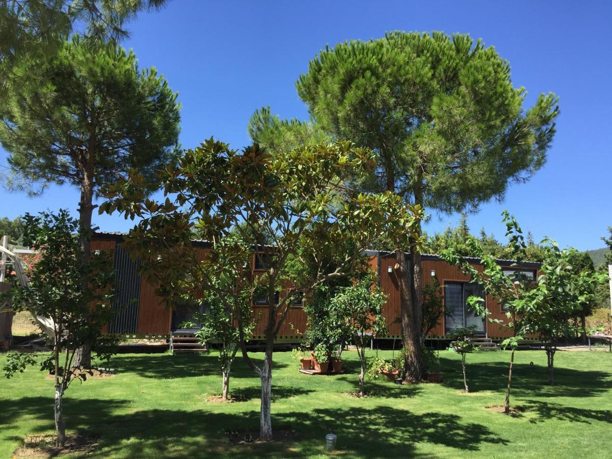 Sakiz Tiny House & Apart Urla Bagian luar foto
